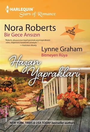 Bir Gece Ans?z?n / Bitmeyen R?yaŻҽҡ[ Lynne Graham ]