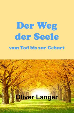 Der Weg der Seele vom Tod bis zur GeburtŻҽҡ[ Oliver Langer ]