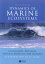 Dynamics of Marine Ecosystems