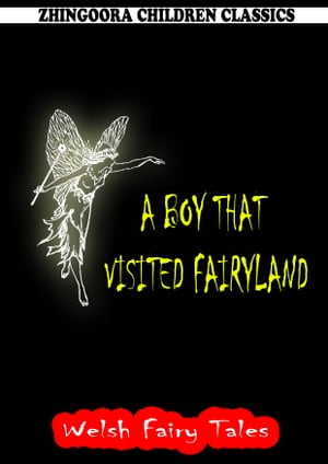 A Boy That Visited Fairyland