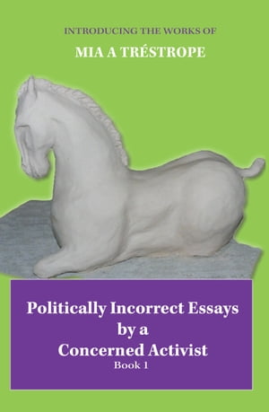 Politically Incorrect Essays by a Concerned Activist Book 1