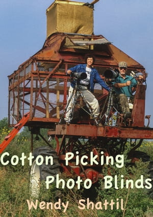 Cotton Picking Photo Blinds