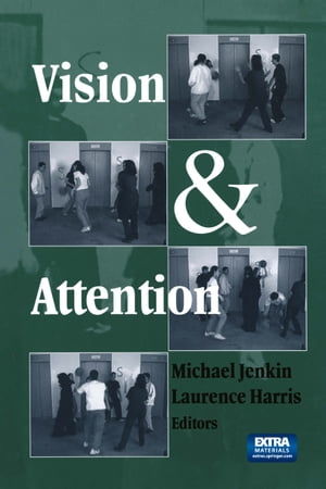 Vision and Attention