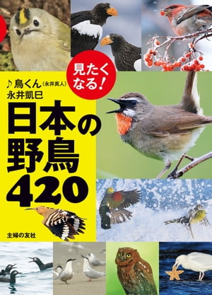 見たくなる！日本の野鳥420【電子書籍】[ ♪鳥くん（永井真人） ]