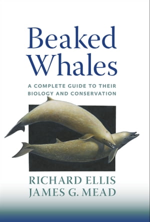 Beaked Whales