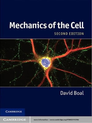 Mechanics of the Cell