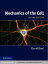 Mechanics of the Cell