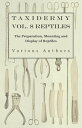 ŷKoboŻҽҥȥ㤨Taxidermy Vol. 8 Reptiles - The Preparation, Mounting and Display of ReptilesŻҽҡ[ Various ]פβǤʤ748ߤˤʤޤ