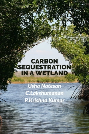 CARBON SEQUESTRATION IN A WETLAND