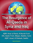 The Resurgence of Al-Qaeda in Syria and Iraq: AQIM, Ansar al-Sharia, Al Nusrah Front, ISIS, Islamic Front, Alleppo, Alawites, Sunni, AQAP, Assad, Al-Shabaab, Salafist【電子書籍】[ Progressive Management ]