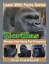 Gorillas Photos and Facts for Everyone