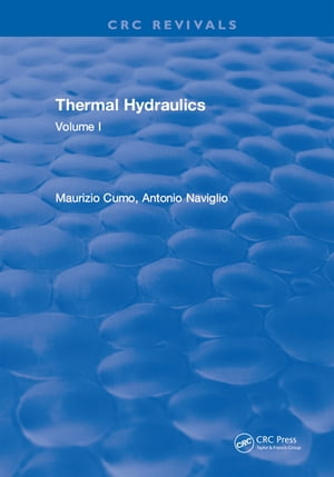 Thermal Hydraulics