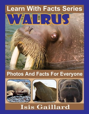 Walrus Photos and Facts for Everyone