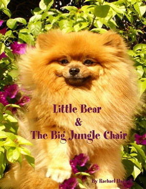 Little Bear The Big Jungle Chair【電子書籍】 Rachael Haskell