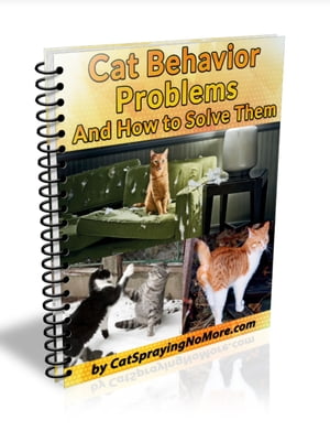 Cat Behavior Problems & How to Solve Them