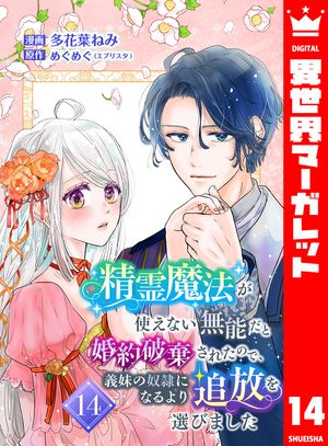 精霊魔法が使えない無能だと婚約破棄されたので、義妹の奴隷になるより追放を選びました 14