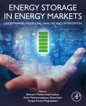 Energy Storage in Energy Markets