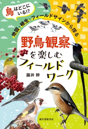 野鳥観察を楽しむフィールドワーク