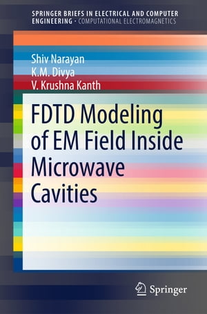 FDTD Modeling of EM Field inside Microwave Cavities