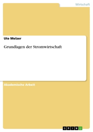 Grundlagen der Stromwirtschaft