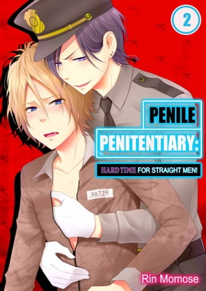 Penile Penitentiary: Hard Time for Straight Men!