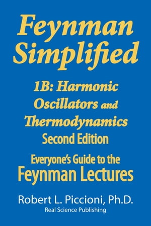 Feynman Lectures Simplified 1B