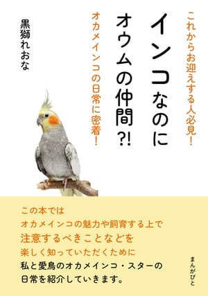 これからお迎えする人必見！インコなのにオウムの仲間？！オカメインコの日常に密着！