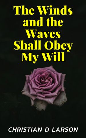 ŷKoboŻҽҥȥ㤨The Winds and the Waves ShallŻҽҡ[ DD Books ]פβǤʤ164ߤˤʤޤ