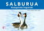 SALBURUA