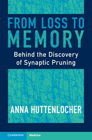 From Loss to Memory