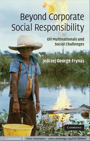 Beyond Corporate Social Responsibility