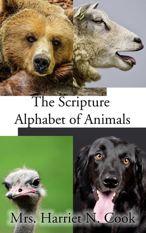 The Scripture Alphabet of Animals