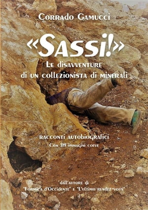 Sassi! Le disavventure di un collezionista di minerali