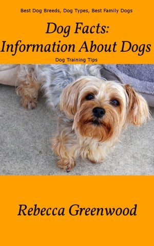 Dog Facts: Information About Dogs