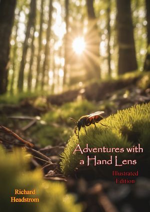 Adventures with a Hand Lens [Illustrated Edition]