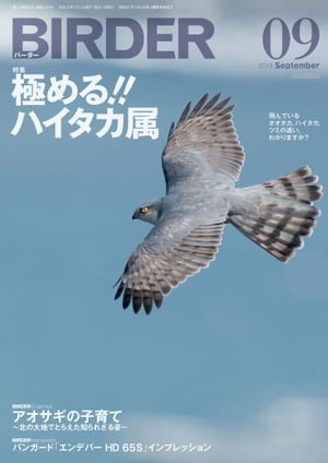 BIRDER 2013年 9月号