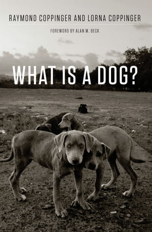 What Is a Dog?【電子書籍】[ Raymond Coppinger ]