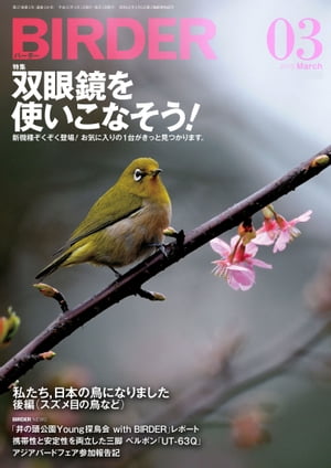 BIRDER 2013年 3月号