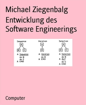 Entwicklung des Software Engineerings【電子