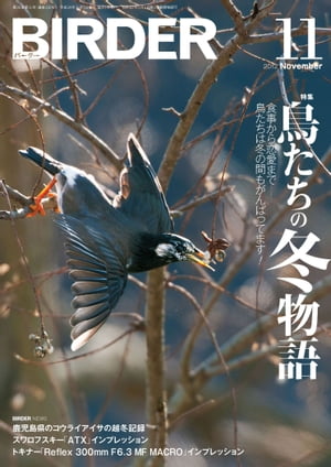 BIRDER 2012年 11月号