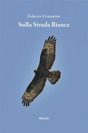 Sulla Strada Bianca