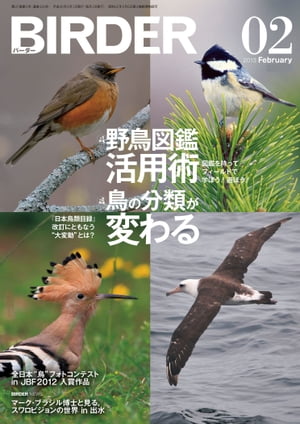 BIRDER 2013年 2月号