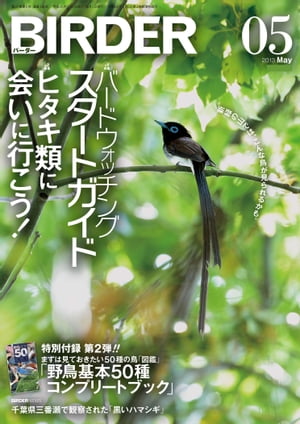 BIRDER 2013年 5月号