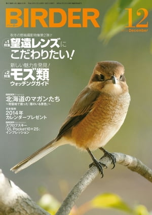 BIRDER 2013年 12月号