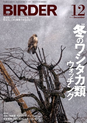 BIRDER 2012年 12月号