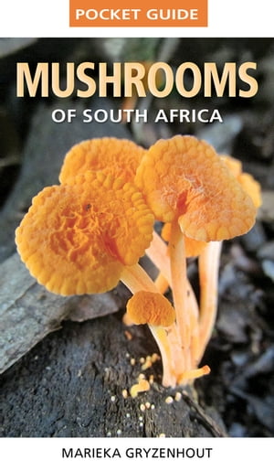 Pocket Guide Mushrooms of South Africa