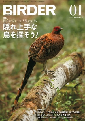 BIRDER 2013年 1月号