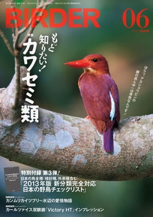 BIRDER 2013年 6月号