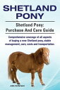 Shetland Pony. Shetland Pony comprehensive coverage of all aspects of buying a n...