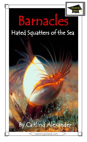 Barnacles: Hated Squatters of the Sea: EducationalŻҽҡ[ Caitlind L. Alexander ]